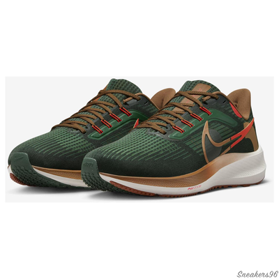 Nike Air Zoom Pegasus 39  Hola Lou Green/Brown Мужские  (41-45)