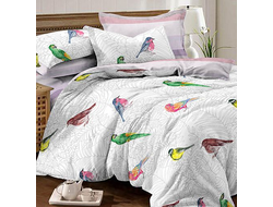 КПБ сатин Manila 2сп