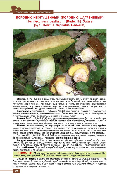 Грибы знакомые и незнакомые