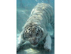 Пазл год Тигра №9