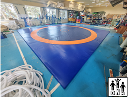 ковры борцовские трехцветные