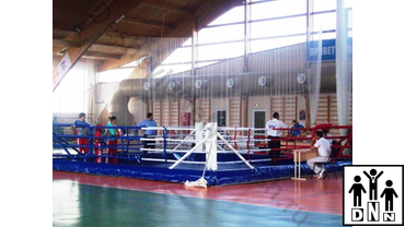 напольный ринг фото