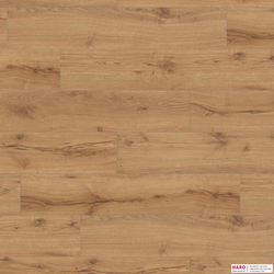 Декор ламината Haro Tritty 100 Campus Дуб Альпийский натур 532063 фронт