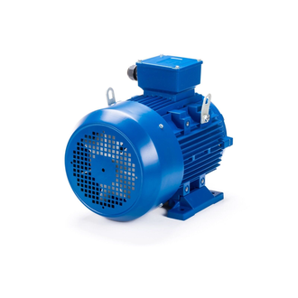Электродвигатель АИС 160L2 (18,5 кВт) IM B3