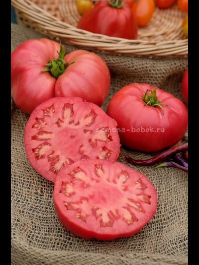 Томат Минусинский Безразмерный, 10 шт