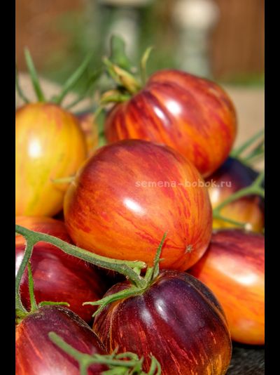 Томат Огненный Тюрбан, 10 шт