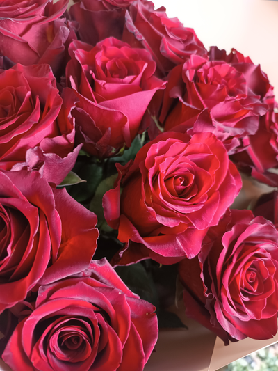 Монобукет Роза Эквадор "Эксплорер" 15шт 70см