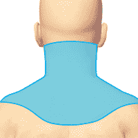 Зона сегмента &ndash; ШВЗ. ДЭНАС ПКМ [НЕЙРОДЭНС] 