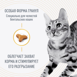 Royal Canin (Роял Канин) Bengal Сухой корм для взрослых кошек бенгальской породы, 400 г