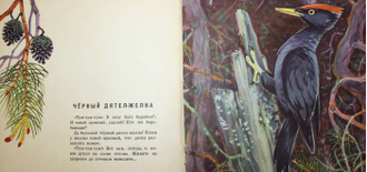 Барков А. Голоса весеннего леса. М.: Малыш. 1971г.