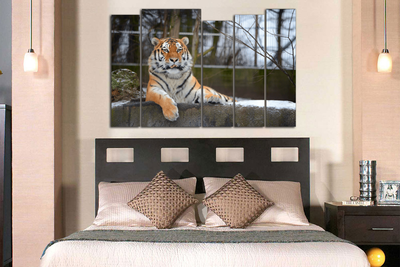 Модульная картина "Спокойный тигр"