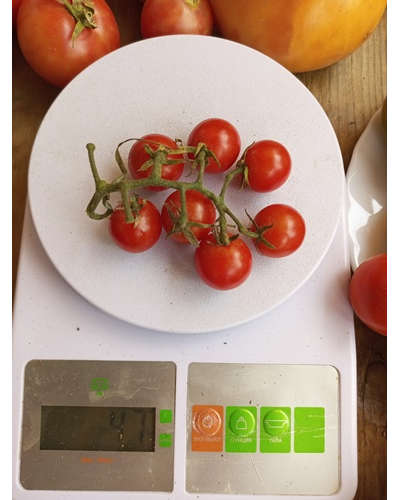 Томат черри Метта дикая вишня (The Matt's Wild Cherry Tomato)