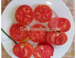 Томат Гном Жар-птица сладкая (Dwarf Firebird sweet)
