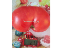 Томат Гордость Грайтмара (Grightmire's Pride) США