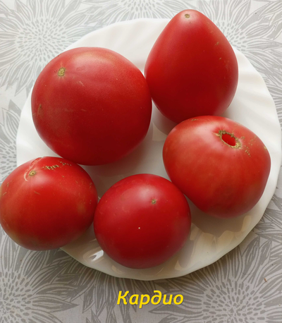 Томат Кардио