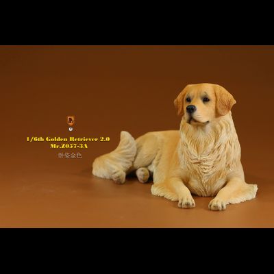 Золотистый ретривер (лежащий) - Коллекционная ФИГУРКА 1/6 scale Animal Model Golden Retriever 2.0 (MRZ057-3A) - Mr.Z
