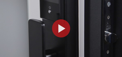 Стальная дверь   Берилл с зеркалом (биометрический замок DZ 888). Заказная модель.