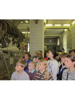 Квест в музее