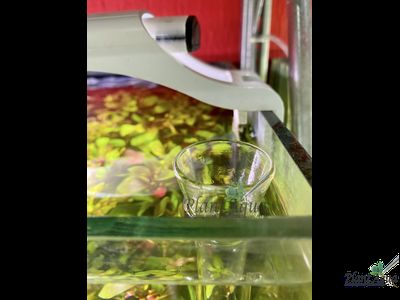 SwetAqua Glass bottom feeder 300 - стеклянная кормушка с трубкой для донных рыб