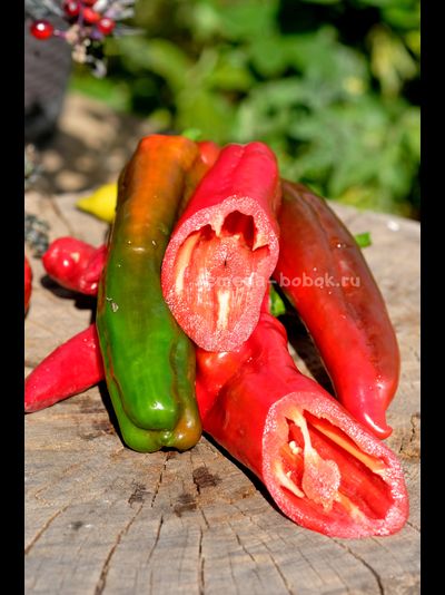 Перец сладкий Тронторолло, 10 шт