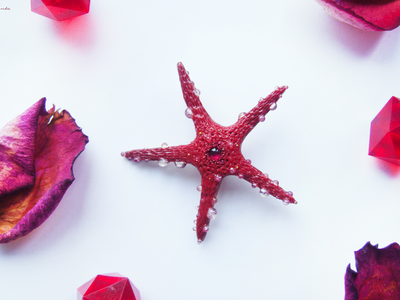Морская брошь "Звезда ундины"