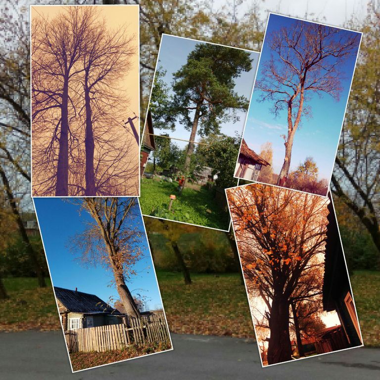 Примеры выполненных работ