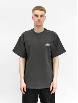Футболка Anteater Phat 478 темно-серая вид спереди
