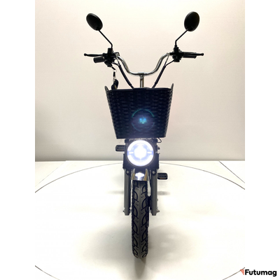 Электровелосипед GreenCamel Транк Монстр PRO (R16FAT 800W 60V20Ah) гидравл. тормоз