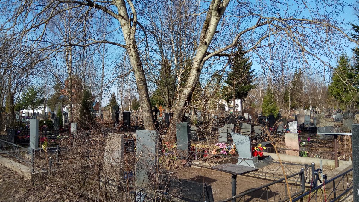 Удаление двух осин на Западном кладбище