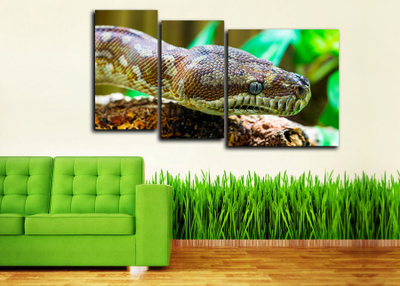 Модульная картина "Рептилия"
