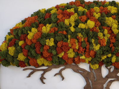 Живая эко-картина 1010 (100х75см)