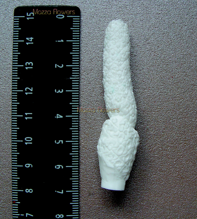 "Пестик долларового дерева (замиокулькаса)" Силиконовый молд