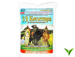 Микробиологический препарат 33 Богатыря 5л