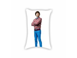 Подушка Теория большого взрыва, The Big Bang Theory №10