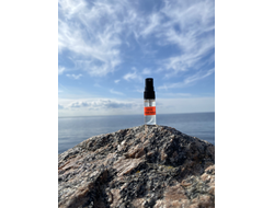 Духи НОТА: МУЖСКАЯ ПРИРОДА 3,5 мл