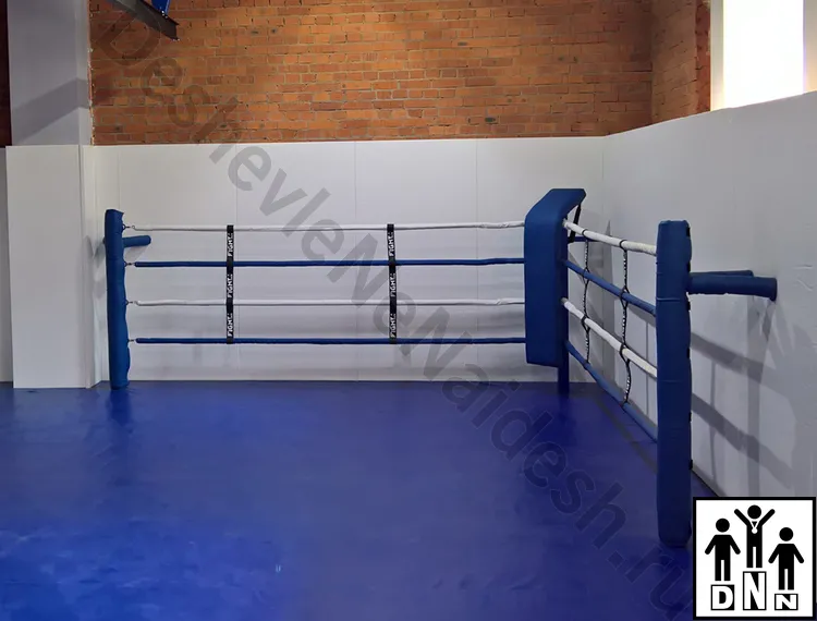 Имитация ринга для бокса