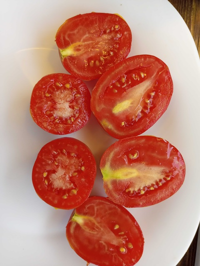 Томат Аргентинская сливка