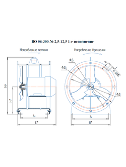 ВО 06-300-10 (3/1000)