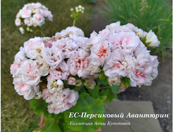 Персиковый Авантюрин