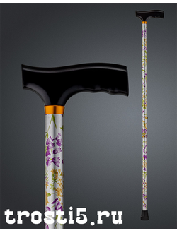 Телескопическая трость "Каролина"