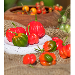 Перец острый Aji Dulce Rojo (Ахи Долче Рохо), 10 шт