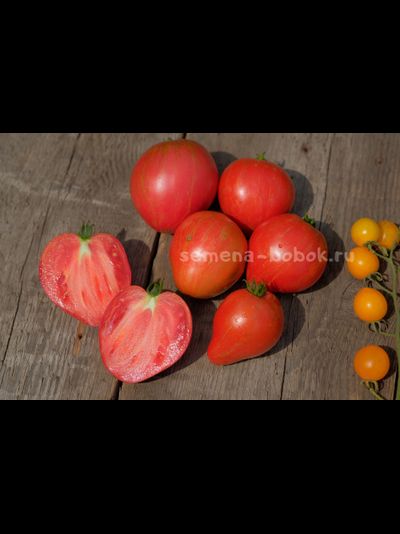 Томат Dwarf Rebel Starfigter Grandpa's Heart (Гном Восставший Звездный Истребитель Дедушкино Сердце), 10 шт