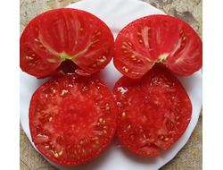 Томат Большой итальянский Миссис Максвелл (Mrs Maxwell’s Big Italian)