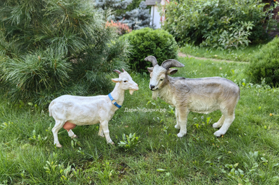 КОЗОЧКА садовая фигура 42*46см  1,7кг  полистоун - не боится влаги и перепадов температур  Россия 2348/012697