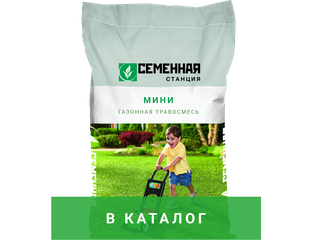 ⭐️Семена газонных трав - купить семена газонных травосмесей по выгодным ...