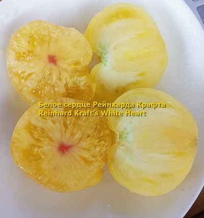 Томат Белое сердце Р. Крафта (Reinhard Kraft’s White Heart)