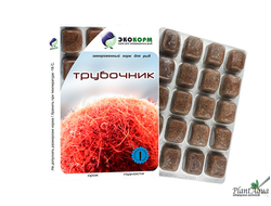 Трубочник замороженный в блистере