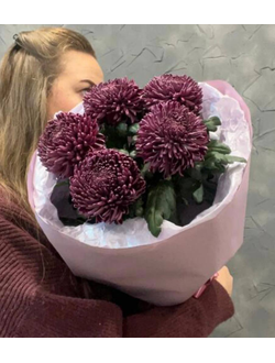 5 хризантем "Бигуди"