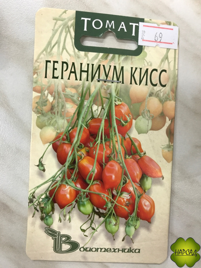 Томат "Гераниум кисс" (80 см, десертного вкуса и отличные для консервирования)
