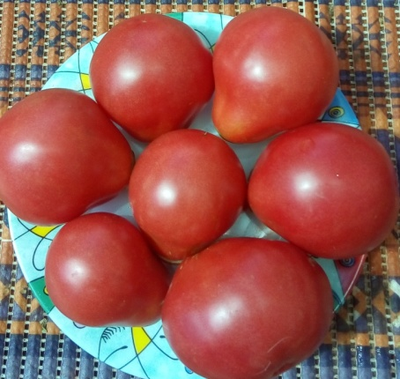 Томат Дендрера (Dendrera, Испания)